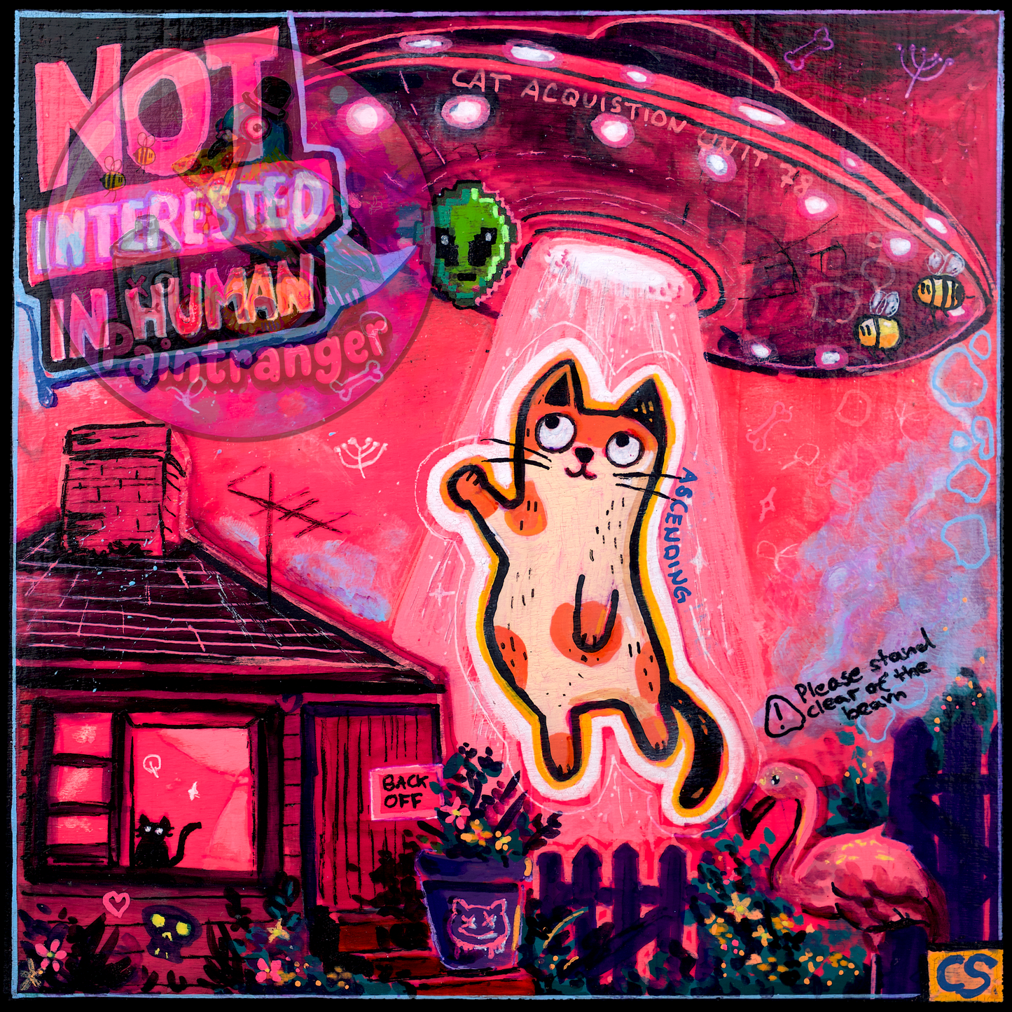 A neon pink surreal artwork showing an orange cat being lifted by a UFO beam above a house, with the words “Not Interested in Human,” a tiny alien, and playful bizarre details.